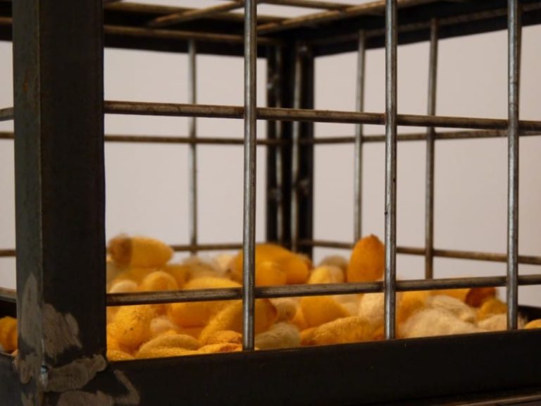 Sueños de la razón, AM Gallery, Almería