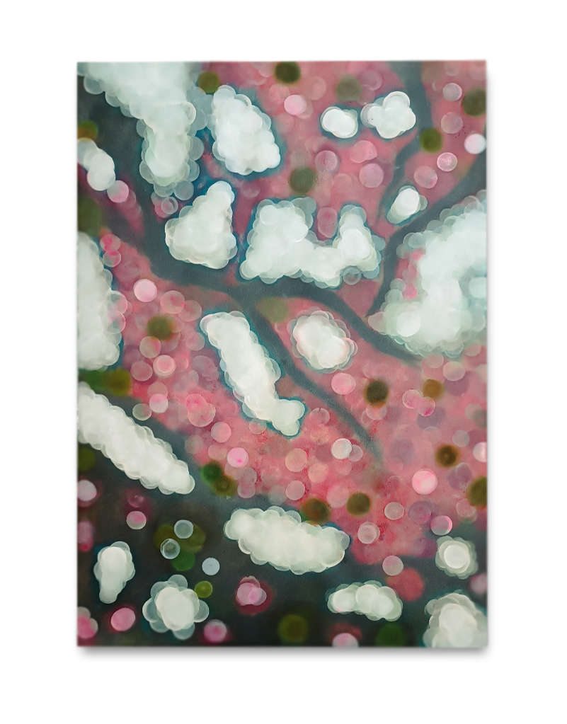 VER NOVUM - I , 76 x 112 cm. Cada uno. Pastel /papel. 2026.