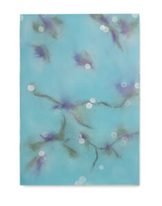 VER NOVUM - V , 76 x 112 cm. Pastel /papel. 2026.