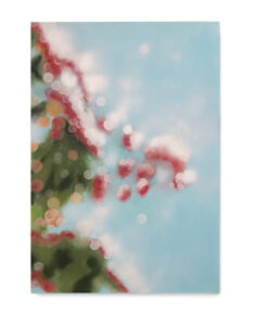 VER NOVUM - VI , 76 x 112 cm. Pastel /papel. 2026.